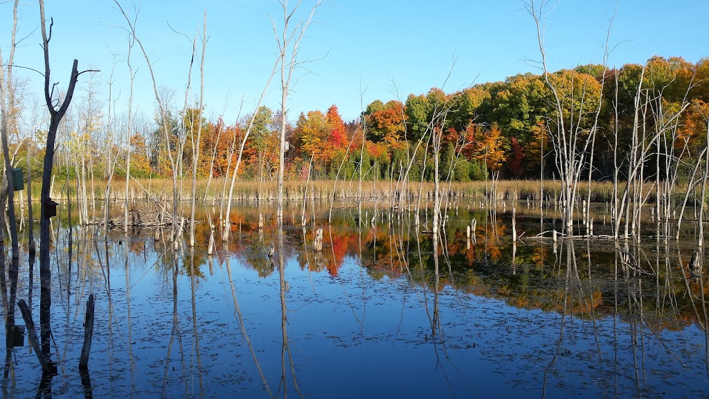 Bois-de-lÎle-Bizard Nature Park | 2115 Chemin du Bord-du-Lac, LÎle-Bizard, QC H9C 1P3, Canada | Phone: (514) 280-8517