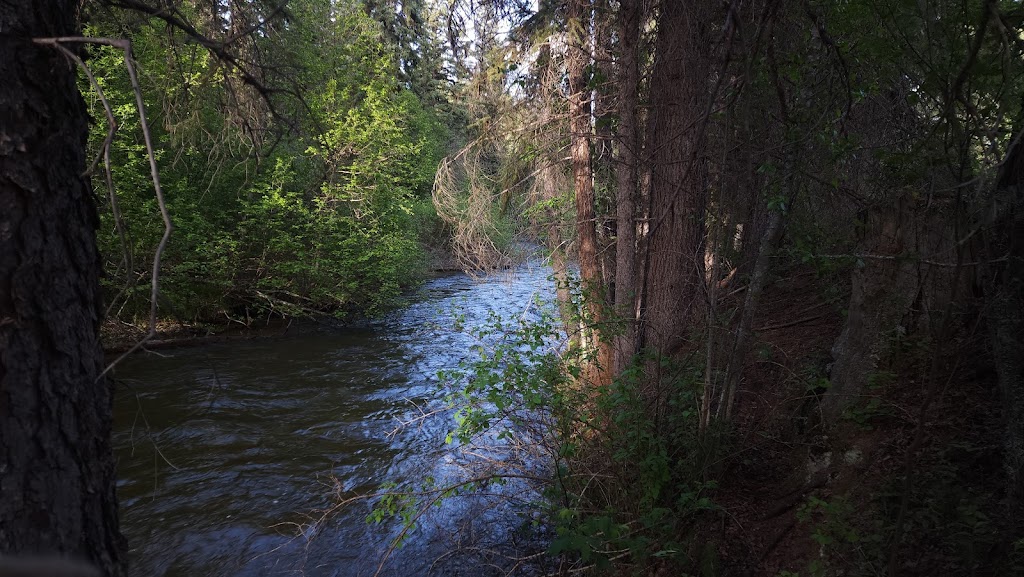 Cherry Creek Rest Area | Kimberley Hwy, Kimberley, BC V1A 3L5, Canada | Phone: (800) 663-7867