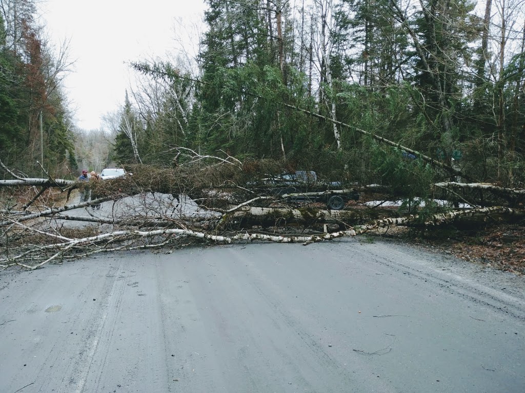 Sound Tree Service | 443 ON-518, Seguin, ON P2A 0B2, Canada | Phone: (705) 890-7471