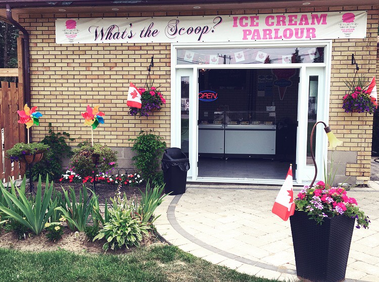 Whats the Scoop? | 5 Downey Ave, Alliston, ON L9R 1J7, Canada