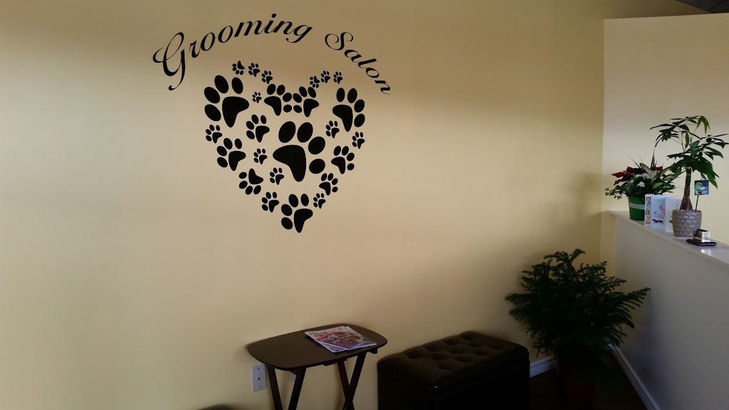 pawsitively pretty grooming | 2 Lakeshore Rd, St. Catharines, ON L2N 7E4, Canada | Phone: (905) 246-2367