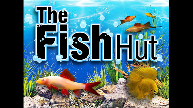 The Fish Hut | 309 11 St, Morden, MB R6M 1L9, Canada | Phone: (204) 361-6117