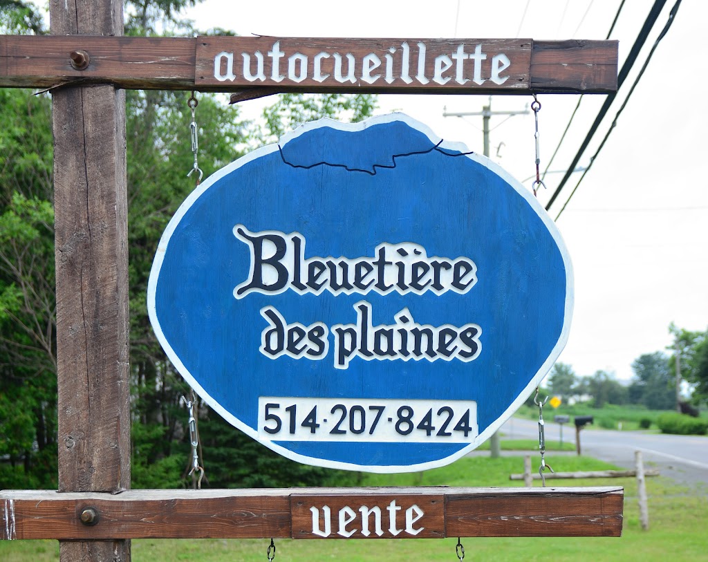 Bleuetière des plaines | 186 Chem. de la Plaine, Sainte-Anne-des-Plaines, QC J0N 1H0, Canada | Phone: (514) 207-8424