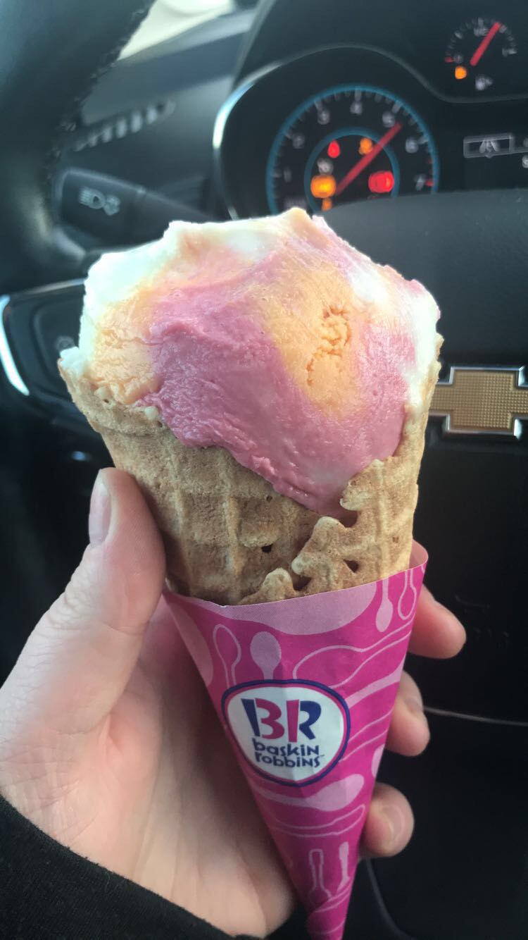 Baskin Robbins | Speedvale Shopping Centre, 328 Speedvale Ave E, Guelph, ON N1E 1N5, Canada | Phone: (519) 265-8831