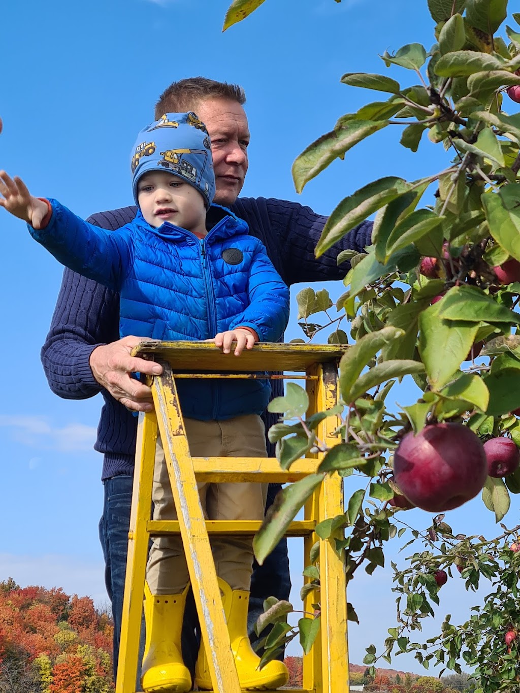 Verger Fleuripom I Cueillette de pommes | 707 Chem. Principal, Saint-Joseph-du-Lac, QC J0N 1M0, Canada | Phone: (450) 413-1910