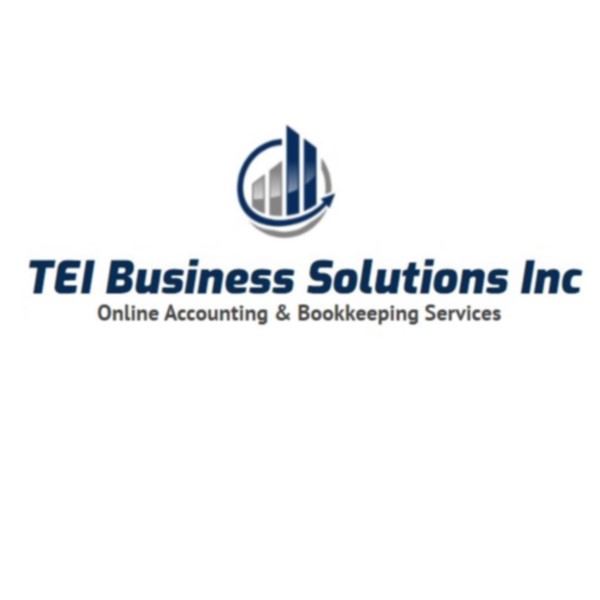 TEI Business Solutions Inc. | 351 Whiteridge Crescent NE, Calgary, AB T1Y 2Y9, Canada | Phone: (587) 880-2962