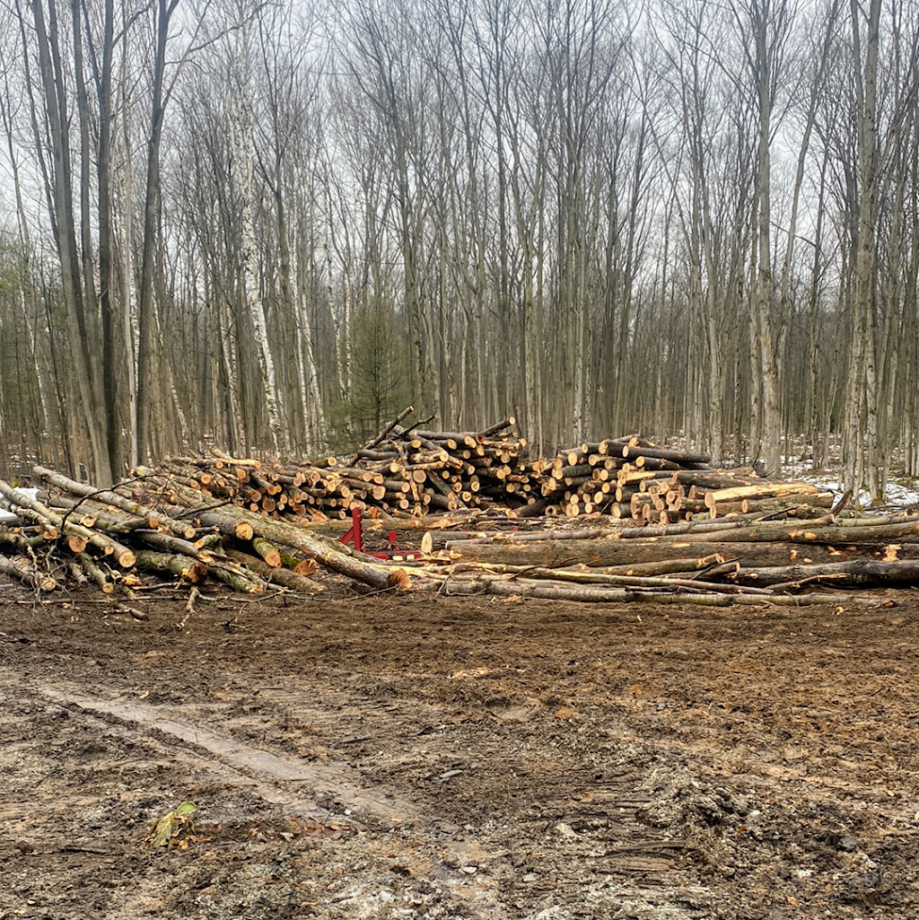 Royal York Firewood | 6 Hunthill Ct, Etobicoke, ON M9A 4A2, Canada | Phone: (647) 893-6250