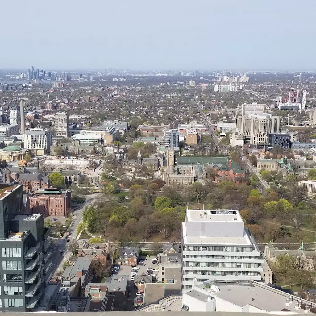 All Rise Window Cleaning & Maintenance | 14 Ferrie St W, Hamilton, ON L8L 1C5, Canada | Phone: (289) 775-6838