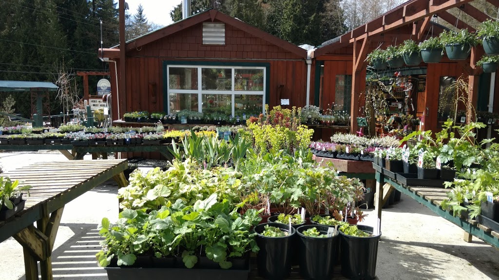 Sunshine Coast Nursery | 1826 Sunshine Coast Hwy, Roberts Creek, BC V0N 2W5, Canada | Phone: (604) 886-2796