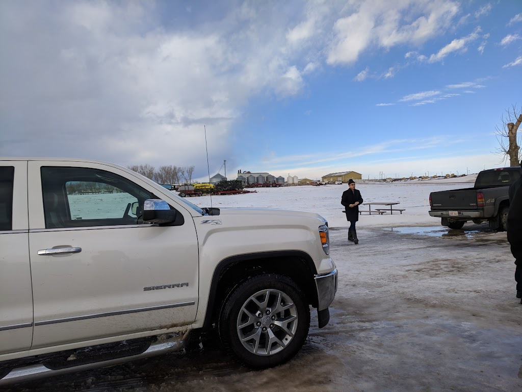 Cattleland Feedyards Ltd | PO Box 2265 Stn Main, Strathmore, AB T1P 1K2, Canada | Phone: (403) 934-4030