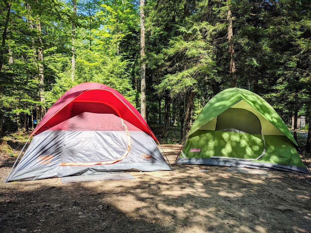 Silent Lake Provincial Park | 1589 Silent Lake Park Road, Bancroft, ON K0L 1C0, Canada | Phone: (613) 339-2807