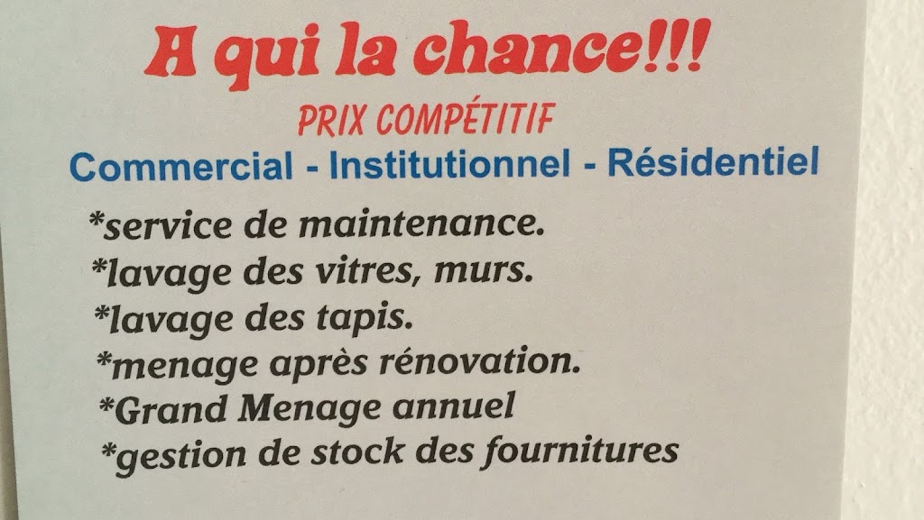 Briana Multiservices | 2357 Rue John Campbell, LaSalle, QC H8N 1C5, Canada | Phone: (514) 290-1564