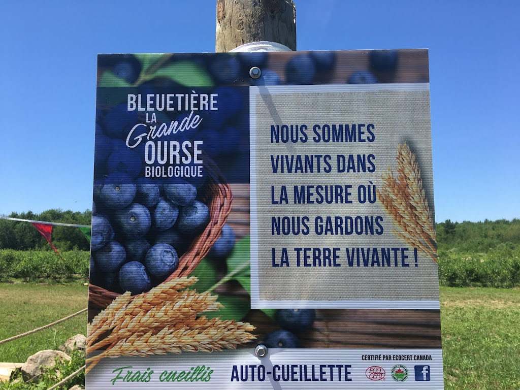 Bleuetière la Grande Ourse (Bleuetière biologique) | 271 Rang Saint-Jean-Baptiste, Saint-Chrysostome, QC J0S 1R0, Canada | Phone: (450) 826-0166