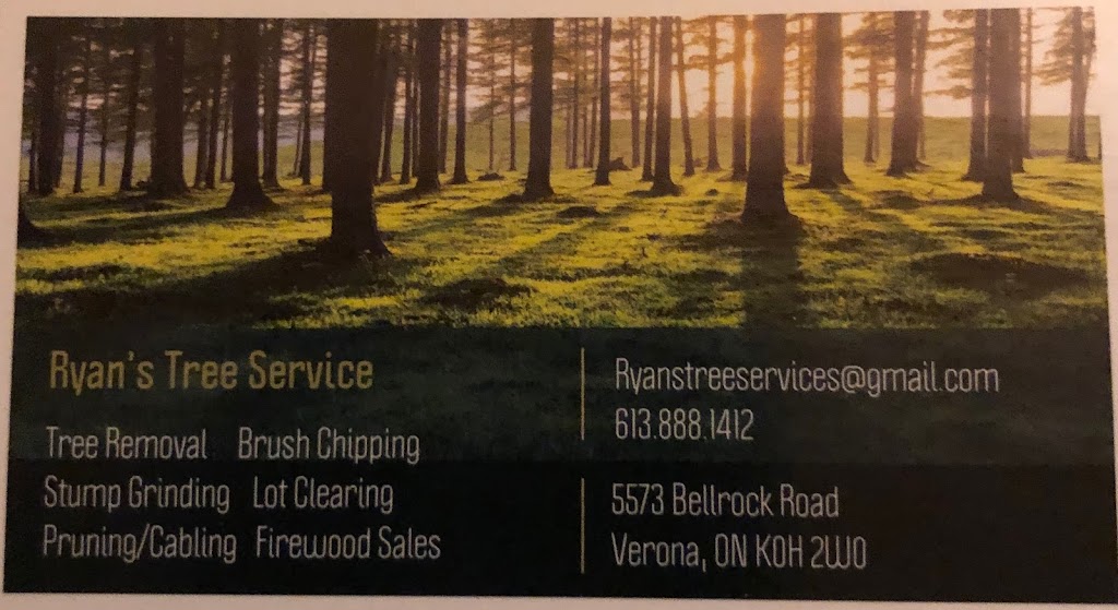 Ryans Tree Service | 5573 Bellrock Rd, Verona, ON K0H 2W0, Canada | Phone: (613) 888-1412