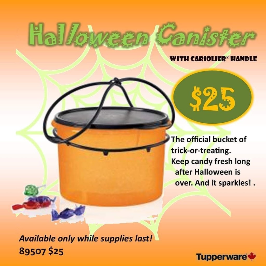 Morags Tupperware Connection | 502046 St, Lamont, AB T0B 2R0, Canada | Phone: (780) 668-4376