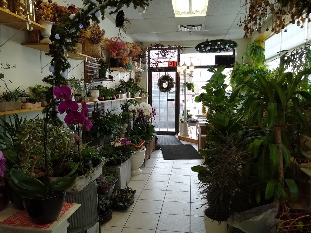 Irenes Floral | 2354 Major MacKenzie Dr W Unit 17, Maple, ON L6A 3Y7, Canada | Phone: (905) 553-1530