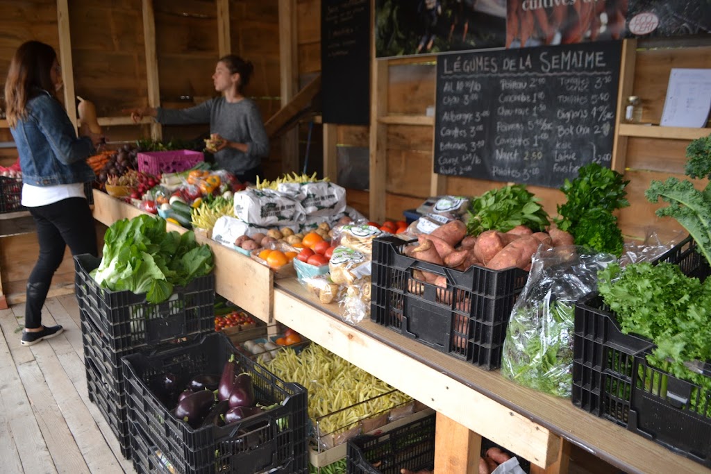 Ferme Coeur de légumes | 142 10e Rang E, Durham-Sud, QC J0H 2C0, Canada | Phone: (819) 432-5062