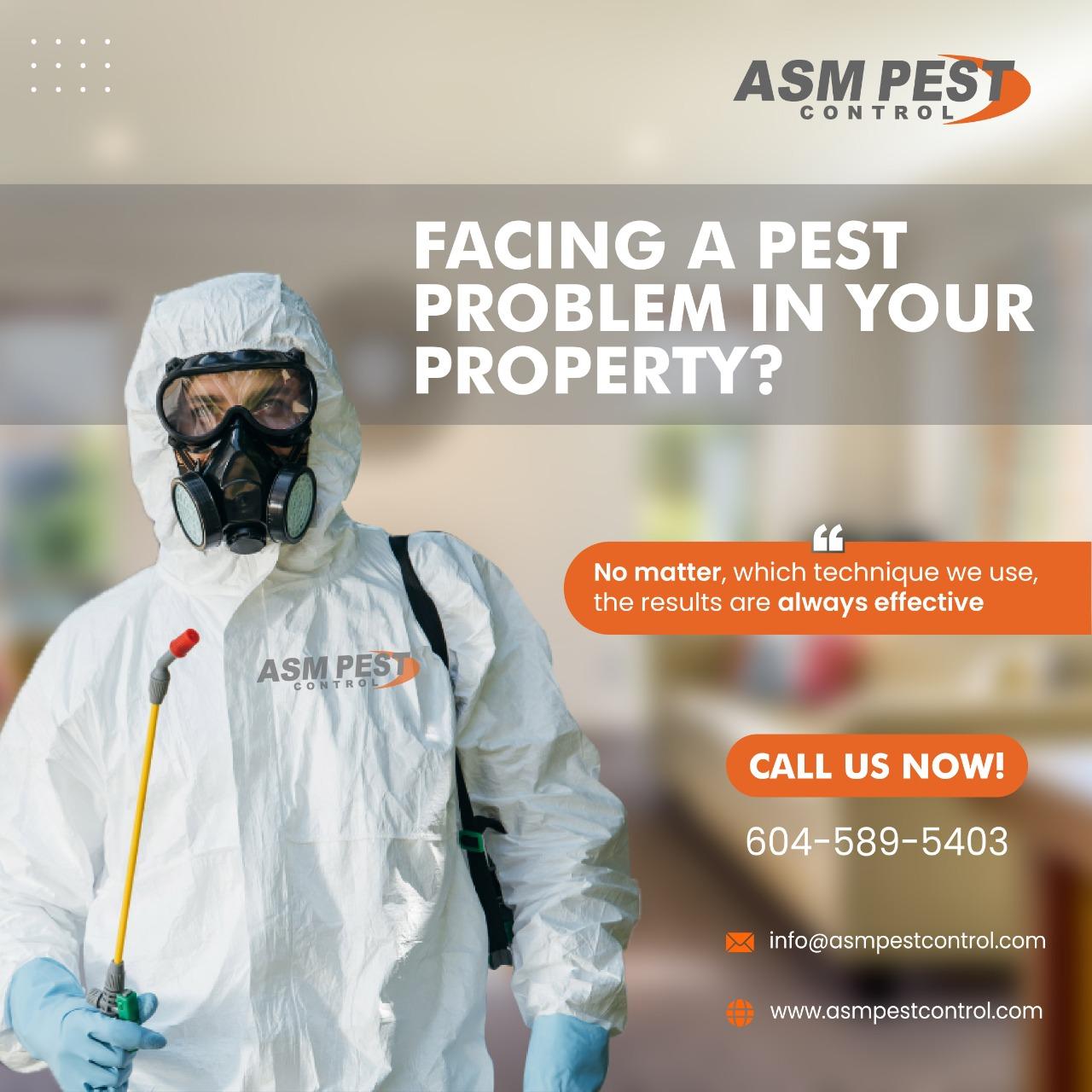 ASM Pest Control | 15581 89 Ave, Surrey, BC V3R 0R3, Canada | Phone: (604) 589-5403