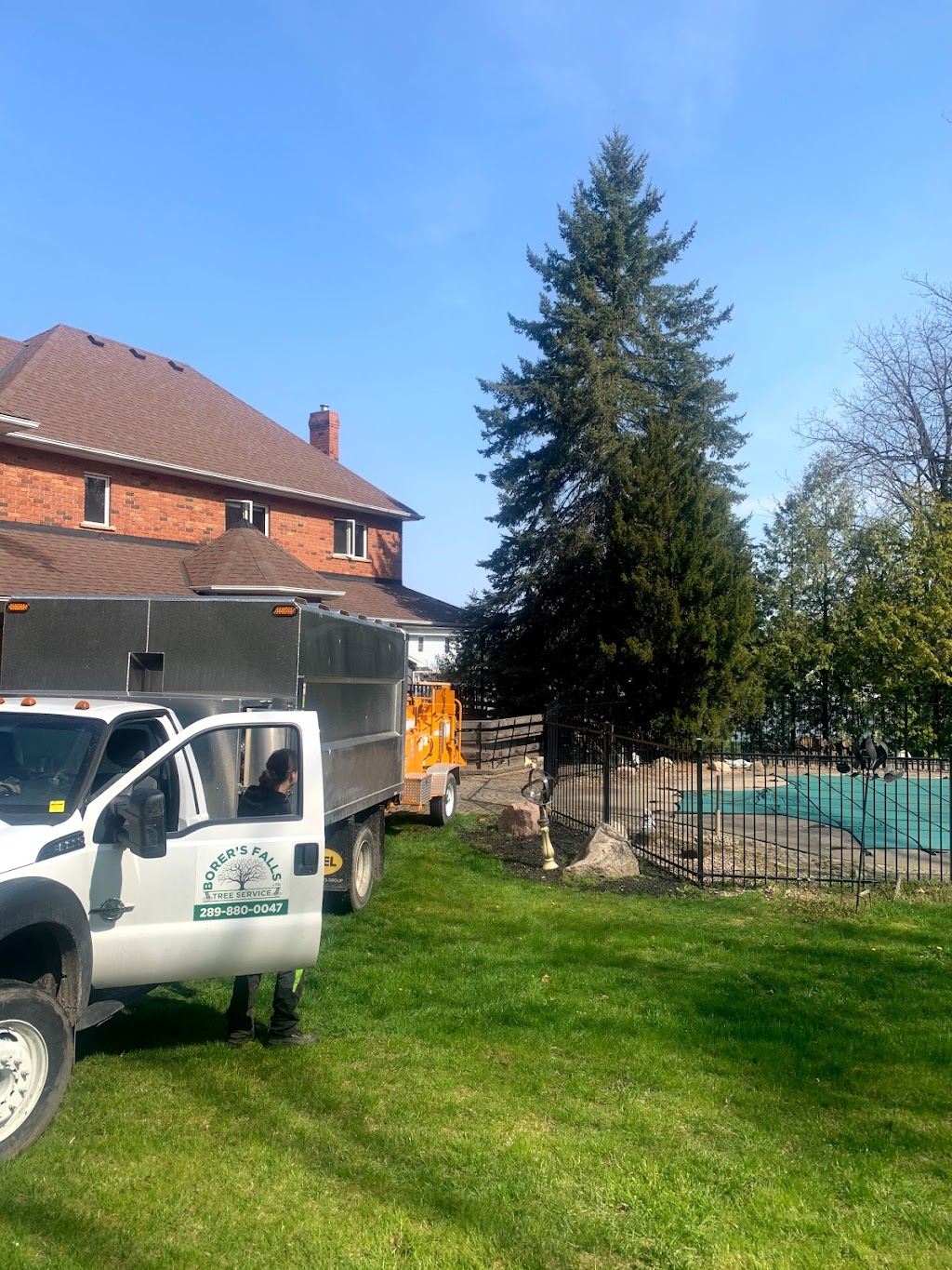 Borers Falls Tree Service | 830 Montgomery Dr, Ancaster, ON L9G 3H8, Canada | Phone: (289) 880-0047