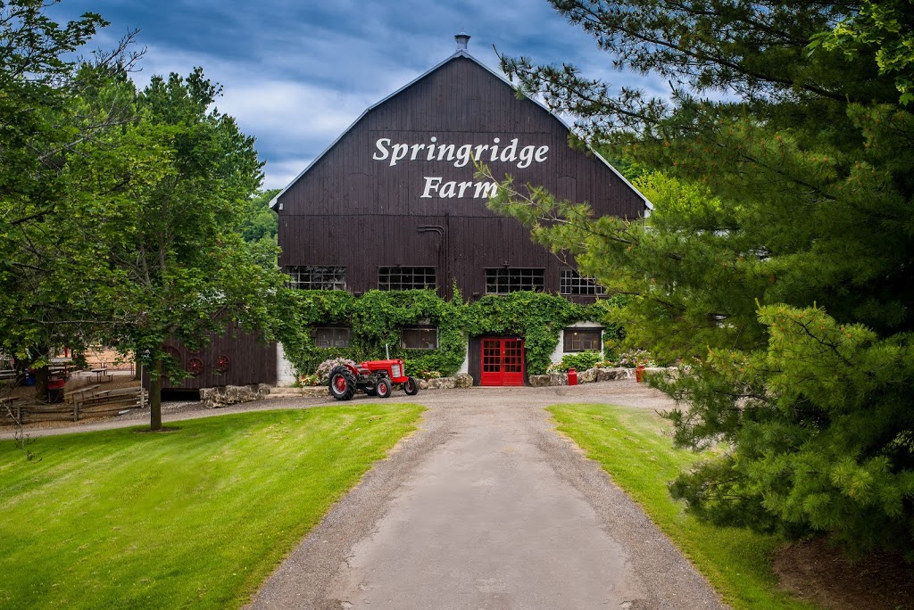 Springridge Farm | 7256 Bell School Line, Milton, ON L9E 0N7, Canada | Phone: (905) 878-4908