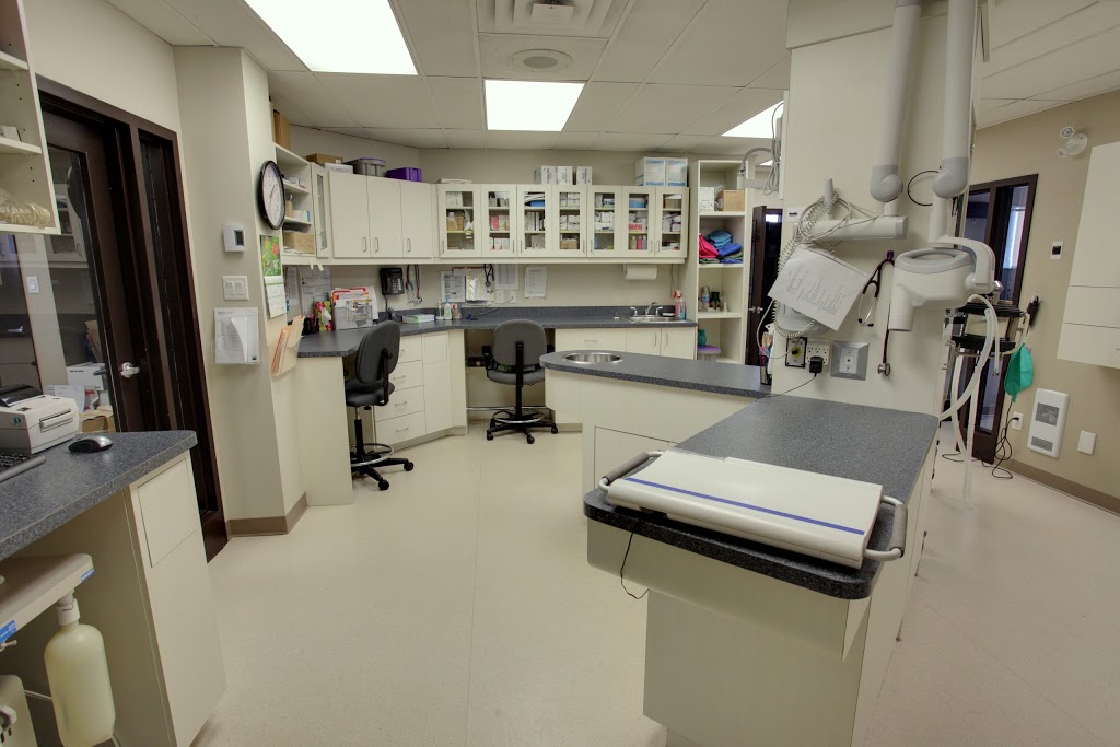 Clinique Vétérinaire Mirabel inc. | Mirabel, QC J7N 2P6, Canada | Phone: (450) 258-3202