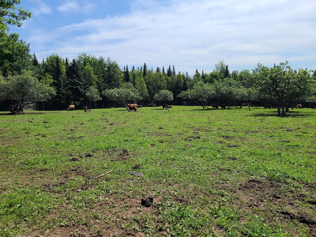 La ferme mille fleurs | 929 rang 9, Saint-Lazare-de-Bellechasse, QC G0R 3J0, Canada | Phone: (418) 882-7401