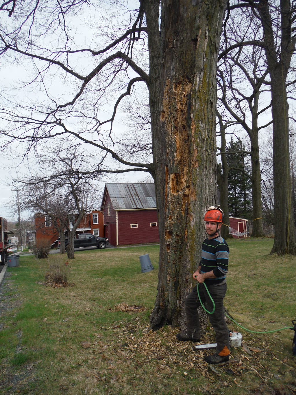 Arboriculture Carrier | 45 route 116 est, Warwick, QC J0P 1M0, Canada | Phone: (819) 350-2036