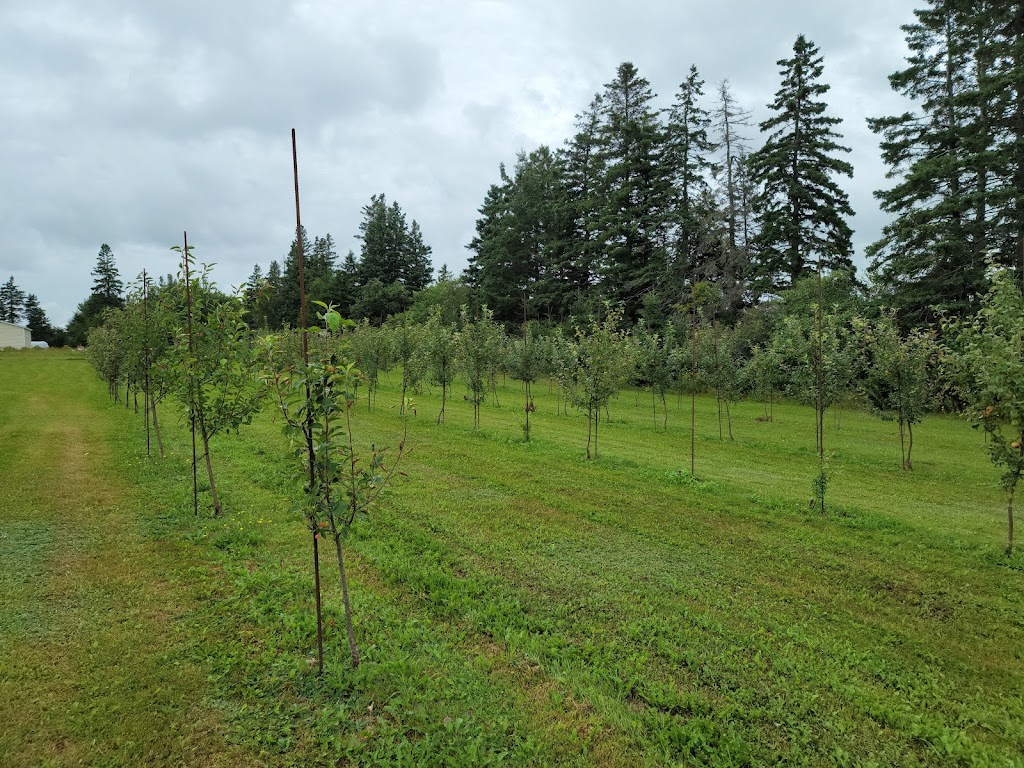 Riverdale Orchard and Cidery | 582 Riverdale Rd, Bonshaw, PE C0A 1C0, Canada | Phone: (902) 218-0580