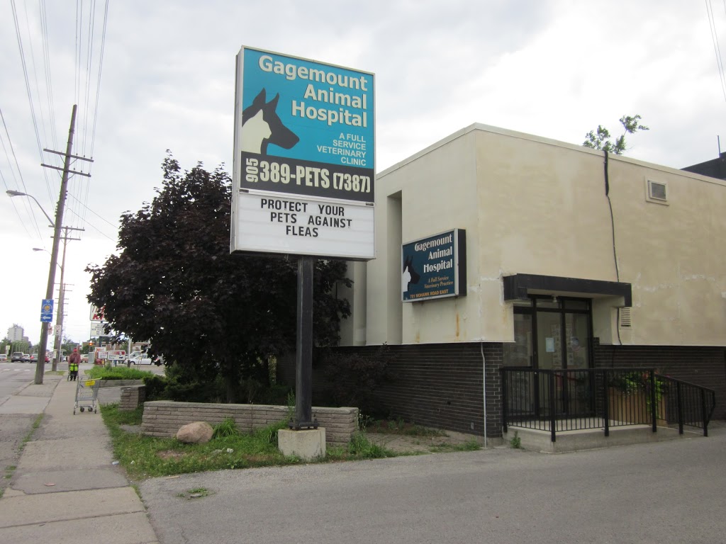 Gagemount Animal Hospital | 701 Mohawk Rd E, Hamilton, ON L8T 2P7, Canada | Phone: (905) 389-7387