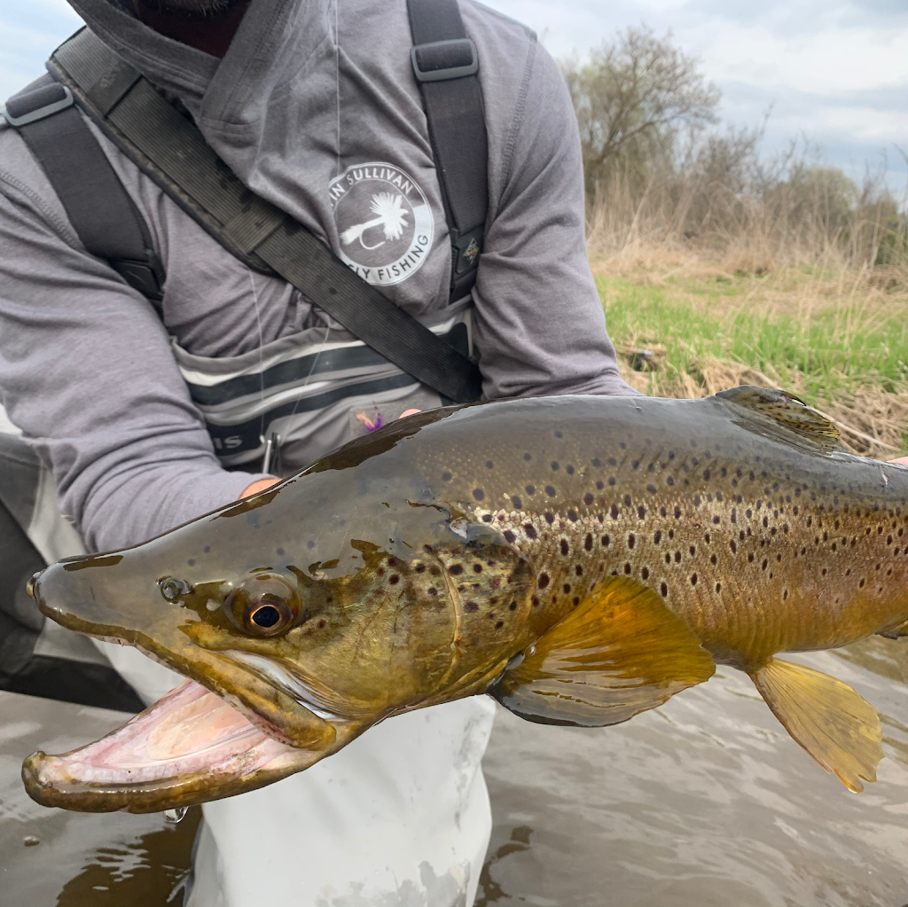 Kevin Sullivan Fly Fishing | 15566 Mountainview Rd, Caledon East, ON L7C 2V2, Canada | Phone: (416) 629-1581