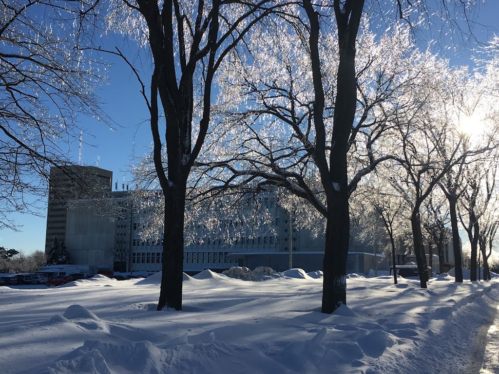 Faculté des sciences sociales - Université Laval | Pavillon Charles-De Koninck, 1030 Av. des Sciences Humaines, Québec, QC G1V 0A6, Canada | Phone: (418) 656-2500