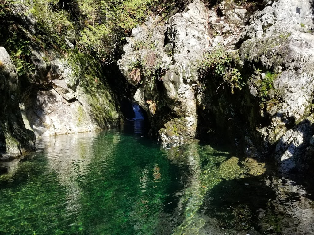 Lynn Canyon Ecology Centre | 3663 Park Rd, North Vancouver, BC V7J 3G3, Canada | Phone: (604) 990-3755