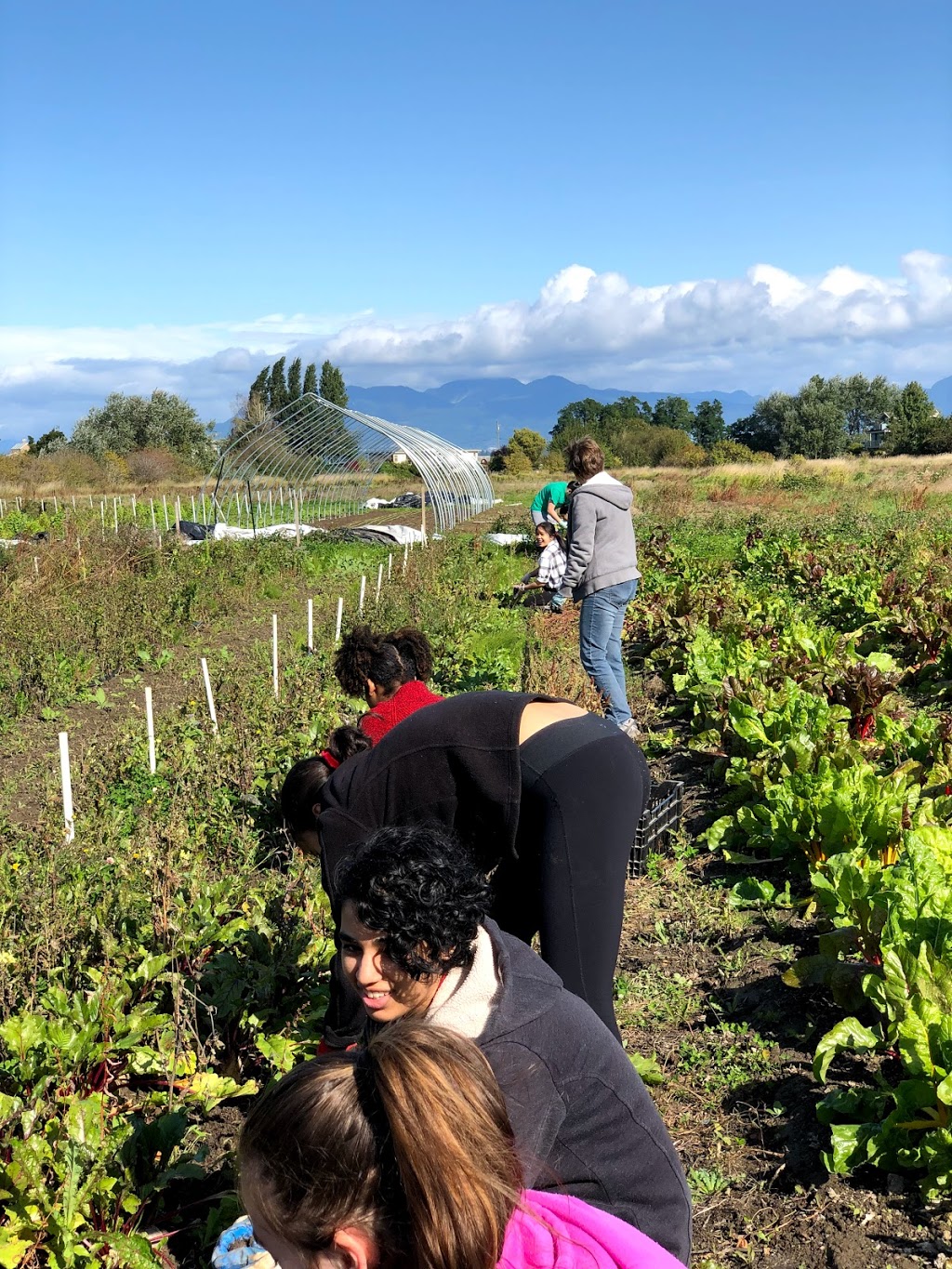 The Sharing Farm Society | 2771 Westminster Hwy, Richmond, BC V7C 1A8, Canada | Phone: (604) 227-6210