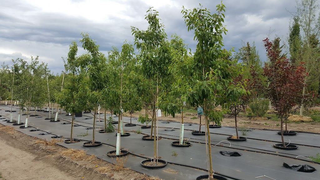 TruEarth Trees | 274129 48 St W, Foothills County, AB T1S 3S8, Canada | Phone: (403) 714-9107