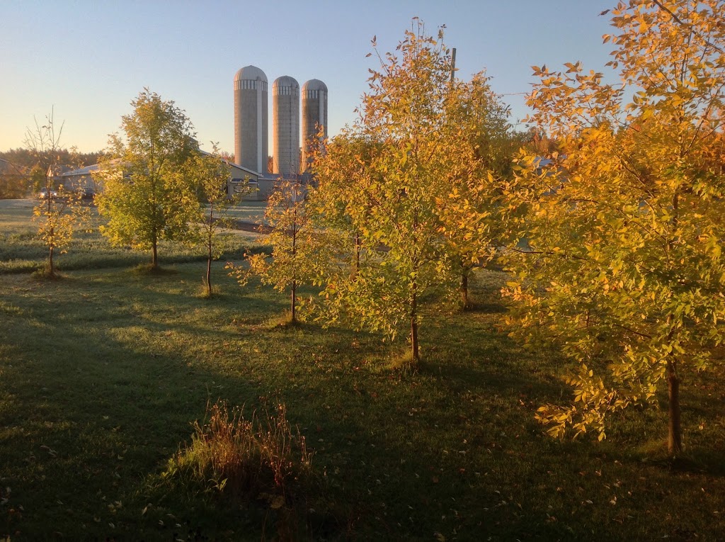 Ferme GeoBastien | 216 Chem. de la Plaine, Sainte-Anne-des-Plaines, QC J0N 1H0, Canada | Phone: (450) 838-8424