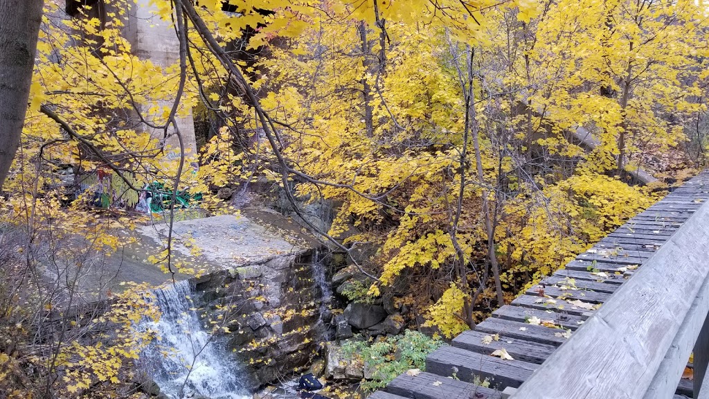 Lower Sydenham Falls | Flamborough, Hamilton, ON L9H 7R7, Canada