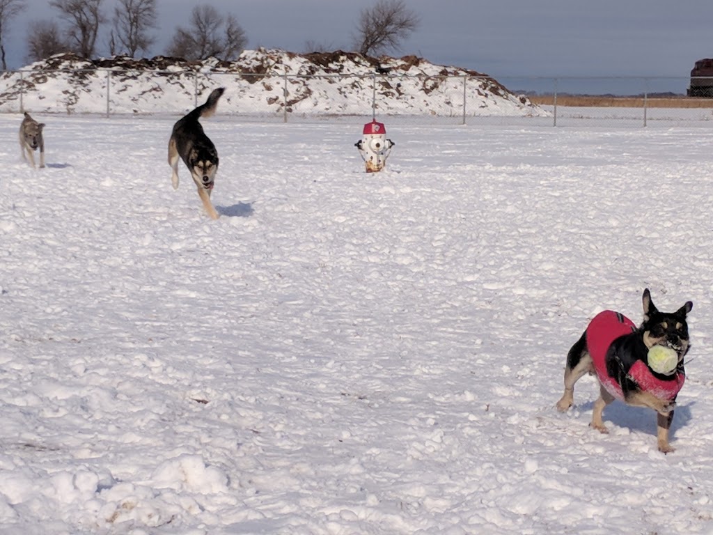 Niverville Dog Park | Niverville, MB R0A 0A1, Canada