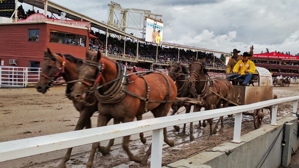 Stampede Grandstand | 3 St SE, Calgary, AB T2G 5A2, Canada | Phone: (403) 265-7197