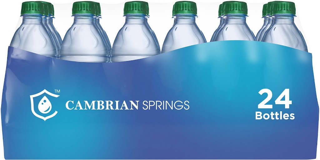 Cambrian Springs Inc | 212 Limestone Crescent, Toronto, ON M3J 2S4, Canada | Phone: (416) 855-3636