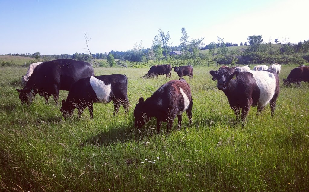 Zettel Family Farms Organic | 83 Concession Rd 6, Cargill, ON N0G 1J0, Canada | Phone: (519) 881-8773