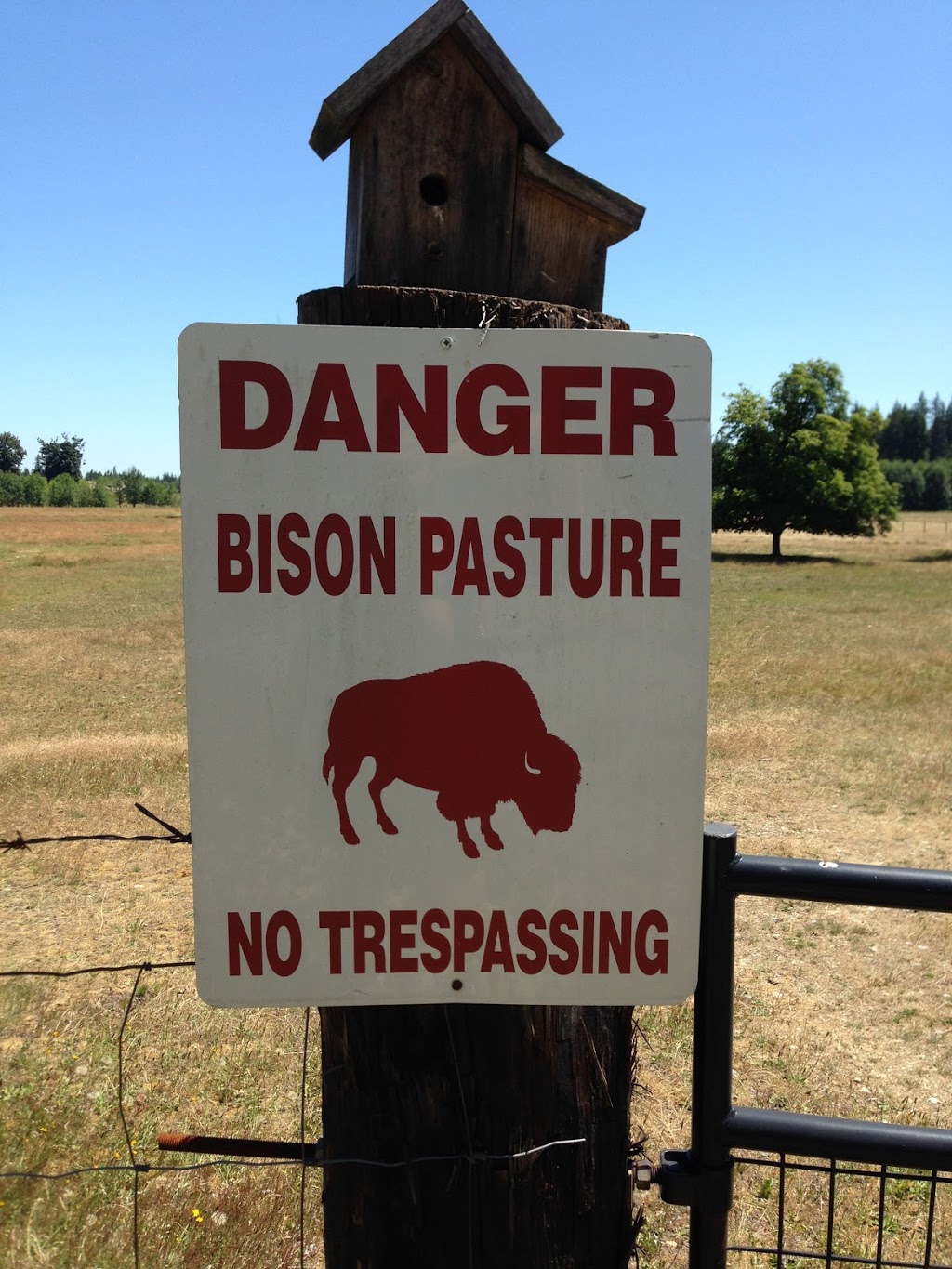 Morning Star Bison Ranch. Ranch Tours. Meat Sales | 965 Spruston Rd, Nanaimo, BC V9X 1S9, Canada | Phone: (250) 713-3111