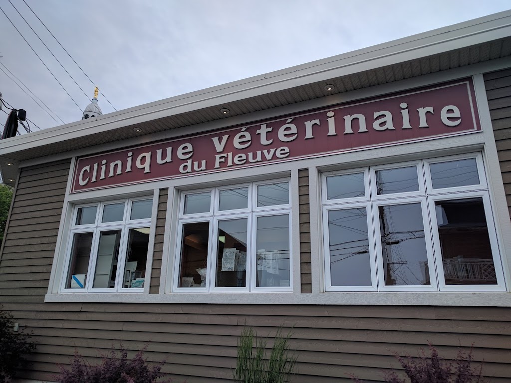 Clinique Veterinaire De Fleuve | 2 Rue Notre Dame O, Trois-Pistoles, QC G0L 4K0, Canada | Phone: (418) 851-2645