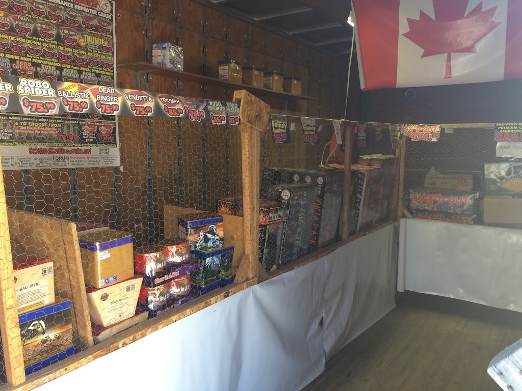 Celebration Fireworks | 1125 Elgin St W, Cobourg, ON K9A 5T9, Canada | Phone: (905) 697-3800