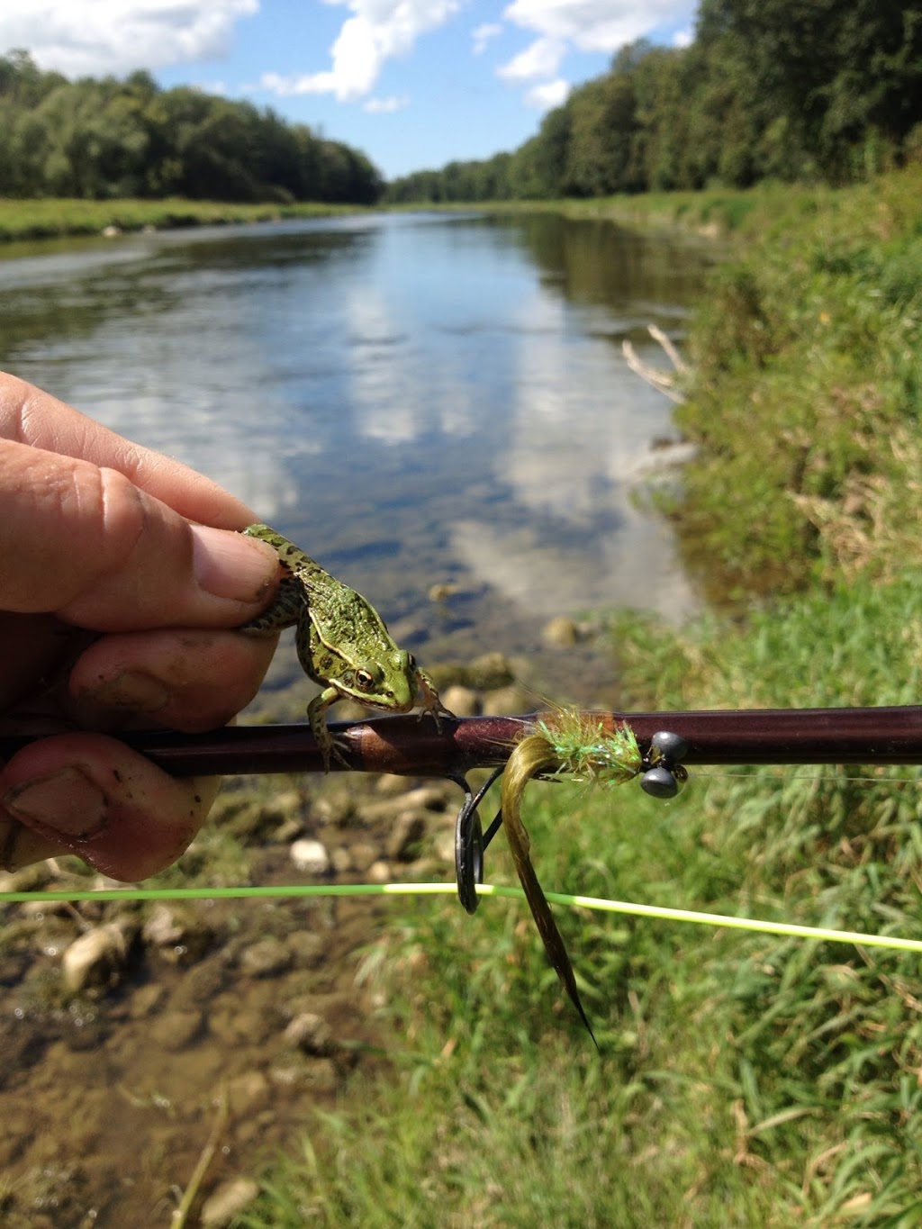 Calmwaters Fly Fishing | Butler Ave, Cambridge, ON N3C 2V4, Canada | Phone: (519) 658-5306