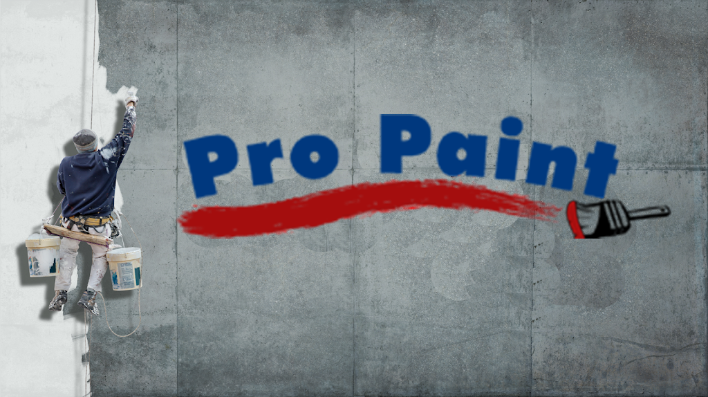 Pro Paint Of WNY | 5153 Glenwood Dr, Williamsville, NY 14221, USA | Phone: (716) 741-9581