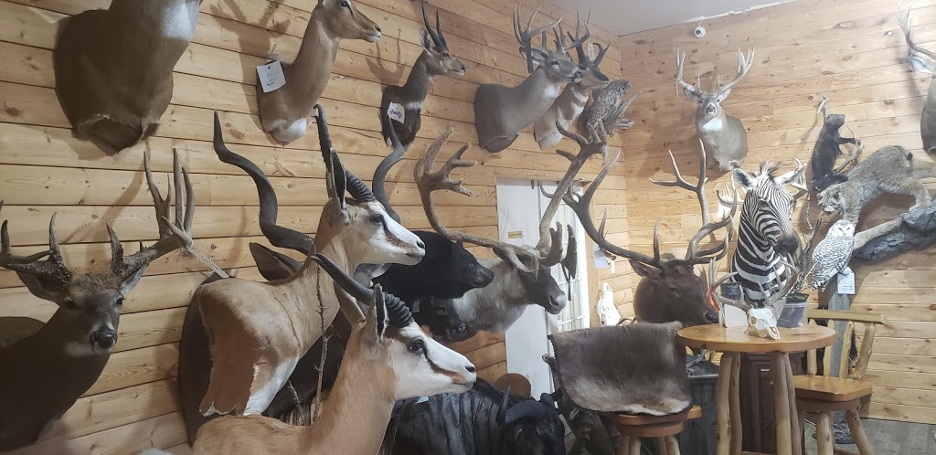 Orion Taxidermy | 1175 Athabasca St E, Moose Jaw, SK S6H 0N4, Canada | Phone: (306) 692-4653