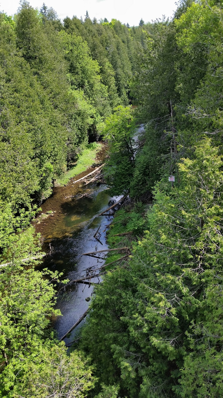 Feversham Gorge - Madeleine Graydon Memorial Conservation Area | 106 River Rd, Feversham, ON N0C 1C0, Canada | Phone: (519) 376-3076