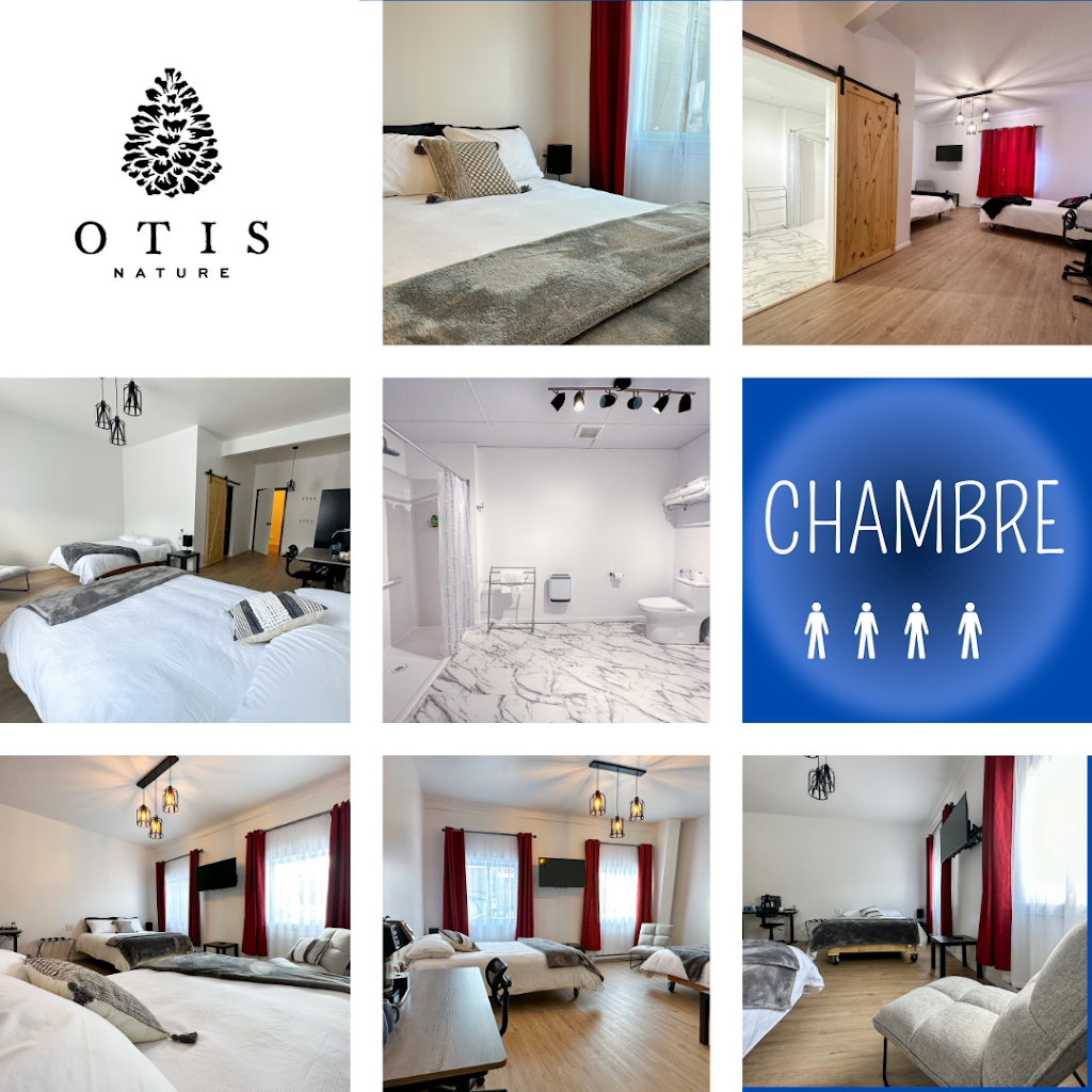 Otis Nature - chalets | 2000 Chem. de la Montagne, Lamarche, QC G0W 1X0, Canada | Phone: (418) 481-1666