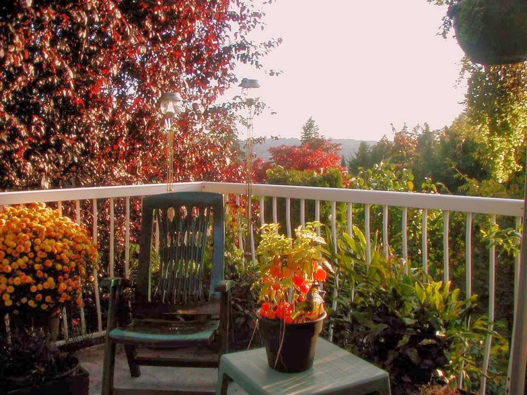 Eagle Mountain Bed and Breakfast | 2548 Trillium Pl, Coquitlam, BC V3E 2H6, Canada | Phone: (604) 941-8955