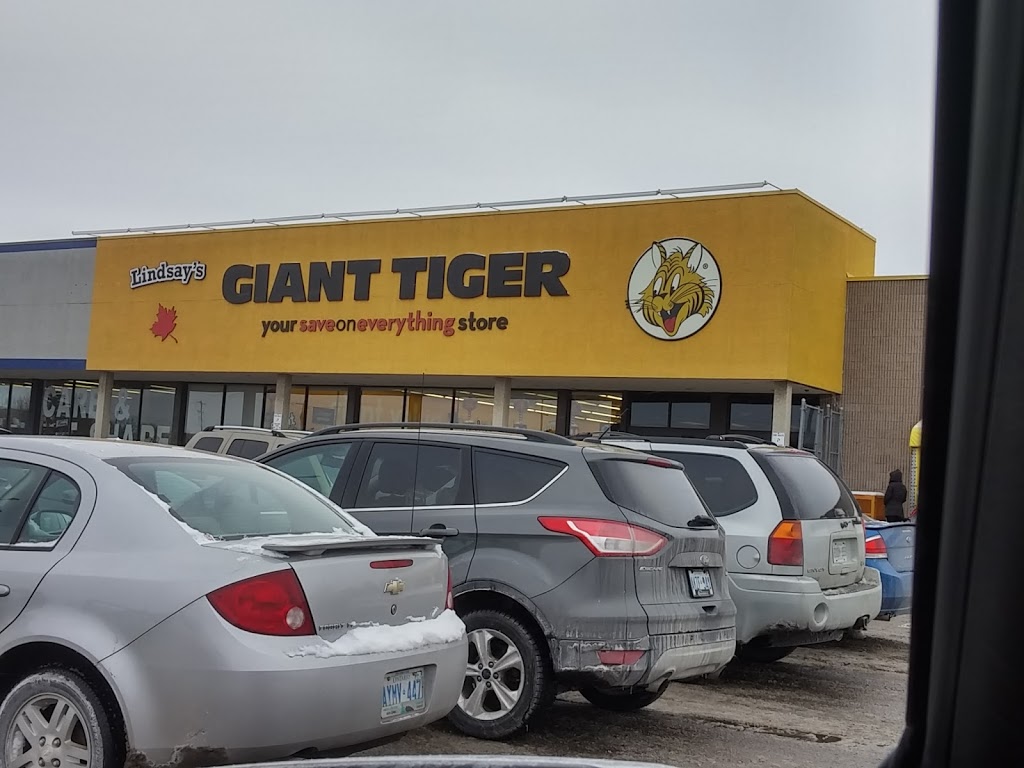 Giant Tiger | 55 Angeline St N, Lindsay, ON K9V 5B7, Canada | Phone: (705) 328-9572